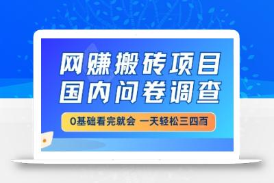 网创搬砖项目，国内问卷调查，小白轻松上手，一天三四张的也不难，干就完了【揭秘】