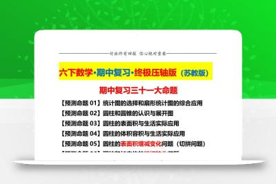 六下数学期中复习·终极压轴版（原卷版）苏教版24页