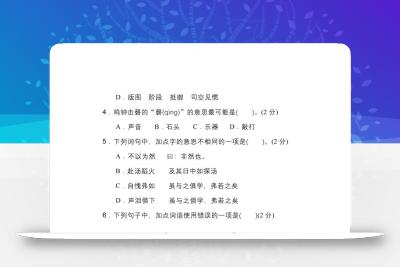 2025年小升初语文重点小学毕业升学全真模拟卷（一）13页