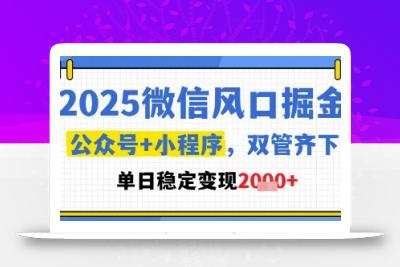 2025微信风口掘金，公众号+小程序双管齐下，单日稳定变现1k+【揭秘】