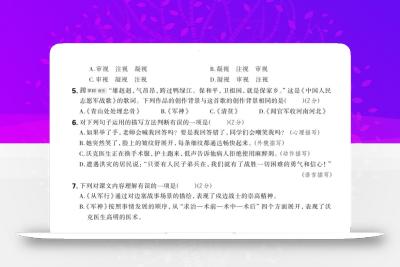 2024-2025学年五年级下语文第四单元综合素养评估卷
