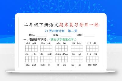 二下语文期末复习每日一练21天冲刺计划（21页）