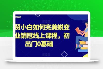 外贸小白如何完美蜕变行业销冠线上课程，初出门0基础