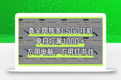 真全网独家CSGO挂机，单日捡漏1000+，不用电脑，不用养号