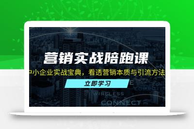 营销实战陪跑课：中小企业实战宝典，看透营销本质与引流方法论