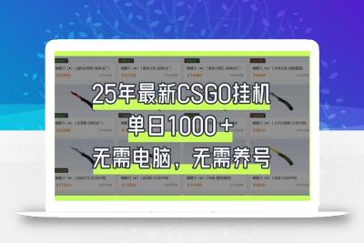 25年最新CSGO挂机系统，单日1000+，无需电脑，无需养号，0基础可上手