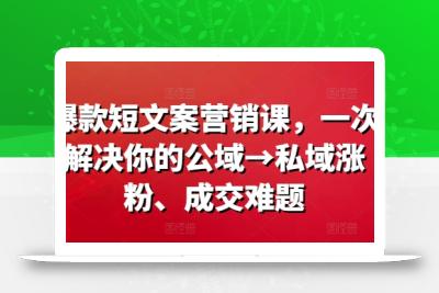 爆款短文案营销课，一次解决你的公域→私域涨粉、成交难题