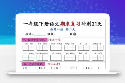 新一下语文期末复习冲刺21天空白版