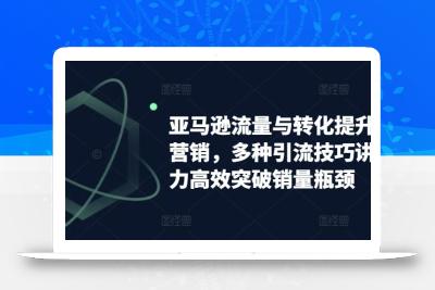 亚马逊流量与转化提升整合营销，多种引流技巧讲解助力高效突破销量瓶颈