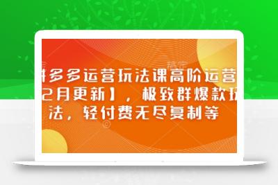 拼多多运营玩法课高阶运营【2月更新】，极致群爆款玩法，轻付费无尽复制等