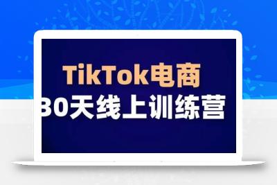 TikTok电商带货30天线上课，不可错过的全球流量洼地！