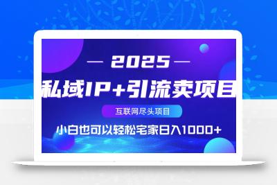 私域IP+引流卖项目，小白也可以做到轻松宅家日入1000+