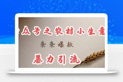 deepseek写农村小项目，条条爆款，暴力引流