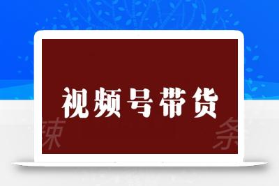 视频号带货联盟，赚信息差的带货钱，只需手机随时随地都可以做！
