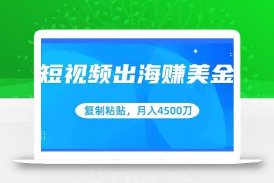 短视频出海赚美金，复制粘贴批量操作，小白轻松掌握，月入4500美刀【揭秘】