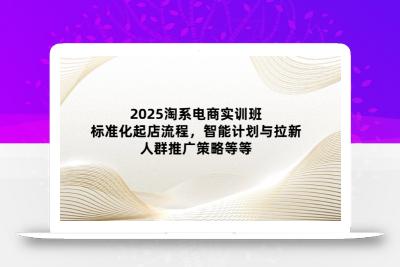 2025淘系电商实训班：标准化起店流程，智能计划与拉新，人群推广策略等等