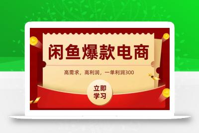 闲鱼卖爆款数码产品，当天上架即可出单，一天利润1000