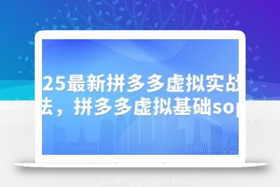 2025最新拼多多虚拟实战打法，拼多多虚拟基础sop