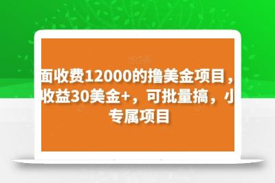 外面收费12000的撸美金项目，单日收益30美金+，可批量搞，小白专属项目