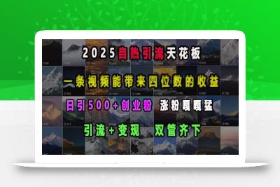 2025自热引流天花板，一条视频能带来四位数的收益，引流+变现双管齐下，日引500+创业粉，涨粉嘎嘎猛