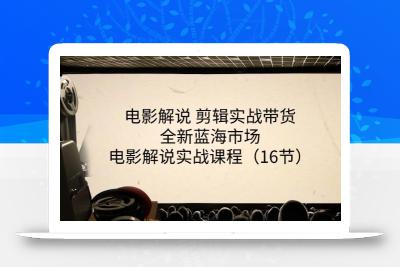 电影解说 剪辑实战带货全新蓝海市场，电影解说实战课程(16节