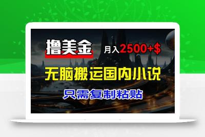 最新撸美金项目，搬运国内小说爽文，只需复制粘贴，稿费月入2500+美金，新手也能快速上手【揭秘】