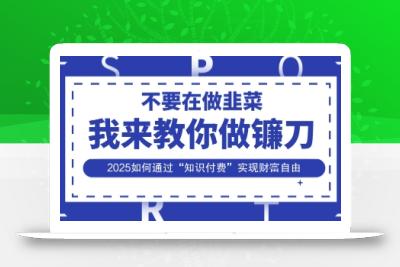 韭菜生涯终结者，我来教你做镰刀，2025如何通过“知识付费”实现财F自由【揭秘】