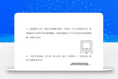 三下数学《面积》应用题专项
