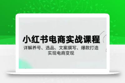 小红书从0-1实操课(2023-2025)，详解养号、选品、文案撰写、爆款打造实现电商变现