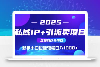 私域IP+卖项目，普通人小白也能轻松实现日入1000+