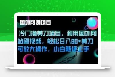 冷门撸美刀项目，利用国外网站刷视频，轻松日入80+美刀，可放大操作，小白随便上手