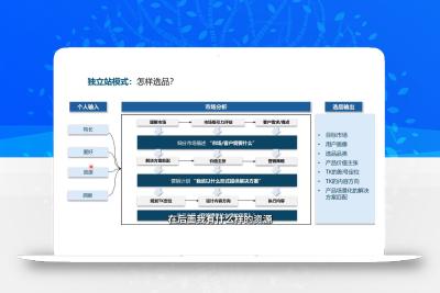棕榈·2025出海新机遇(社媒+独立站)
