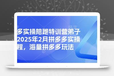 拼多多实操陪跑特训营弟子班，2025年2月拼多多实操课程，海量拼多多玩法