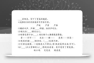 【期末复习核心考点小测】四下语文