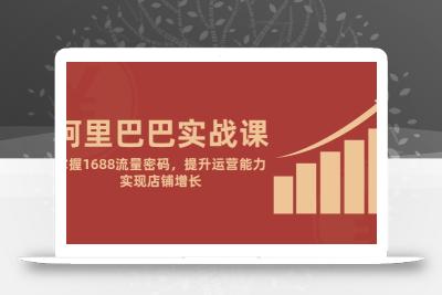 阿里巴巴实战课：掌握1688流量密码，提升运营能力，实现店铺增长