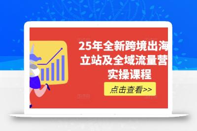 25年全新跨境出海独立站及全域流量营销实操课程，跨境电商独立站TIKTOK全域营销普货特货玩法大全