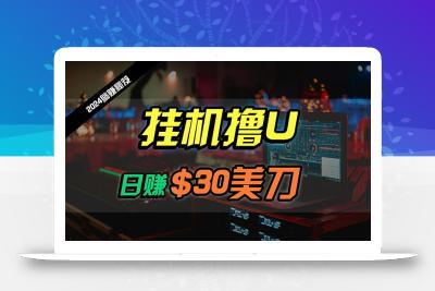 (10013期)日赚30美刀，2024最新海外挂机撸U内部项目，全程无人值守，可批量放大