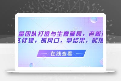 流量团队打造与生意破局，老板流量必修课，抓风口，拿结果，能落地