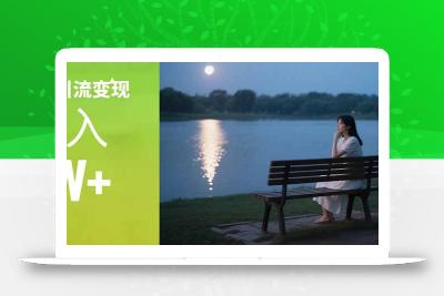 情感粉引流变现实操课：单月变现6w+，情感粉引流变现实操课