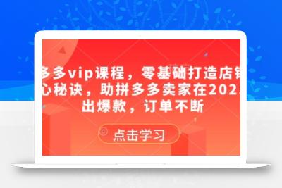 拼多多vip课程，零基础打造店铺的核心秘诀，助拼多多卖家在2025卖出爆款，订单不断