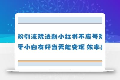 男粉引流玩法(新)，玩法友好做的好当天就能变现