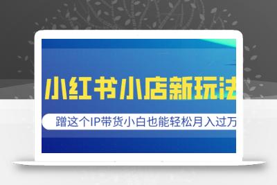 小红书小店新玩法，蹭这个IP带货，小白也能轻松月入过W【揭秘】