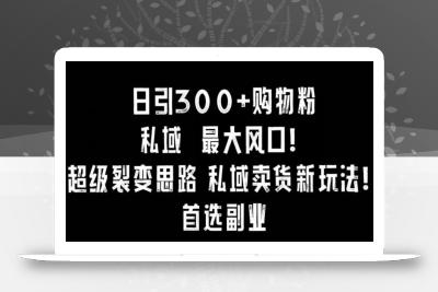 日引300+购物粉，超级裂变思路，私域卖货新玩法，小红书首选副业【揭秘】
