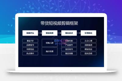 交个朋友·明星IP切片带货爆单营