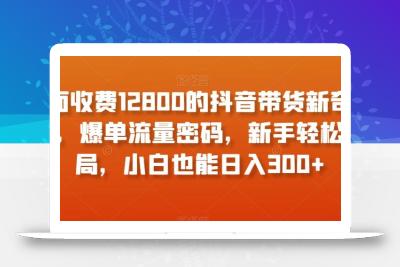 外面收费12800的抖音带货新奇玩法，爆单流量密码，新手轻松入局，小白也能日入300+【揭秘】