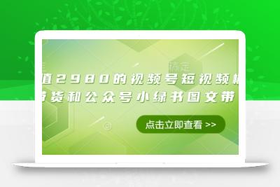 价值2980的视频号短视频橱窗带货和公众号小绿书图文带货