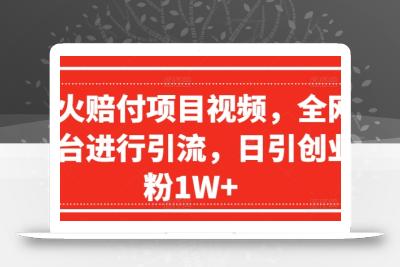 爆火赔付项目视频，全网平台进行引流，日引创业粉1W+【揭秘】
