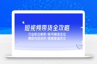短视频带货全攻略，行业机会解析/账号精准定位/爆款内容创作/数据复盘优化
