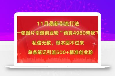 小红书11月最新图片打粉，一张图片引爆创业粉，“预算4980带我飞”，单条引流500+精准创业粉