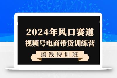 2024年风口赛道视频号电商带货训练营搞钱特训班，带领大家快速入局自媒体电商带货